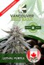Lethal Purple – Non Feminized 10 Seeds Per Pack