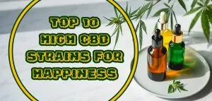 High CBD Strains
