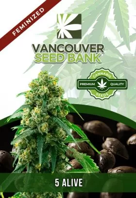 5 Alive Strain Feminized
