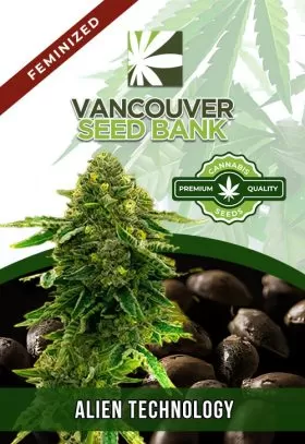 Alien Technology Strain Feminized