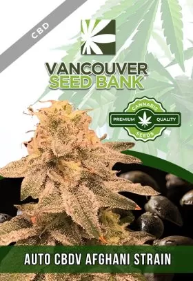 Auto CBDV Afghani