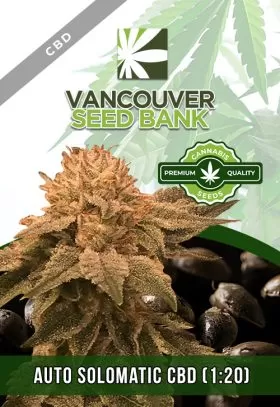 Auto Solomatic CBD (1-20)