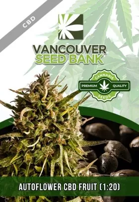 Autoflower CBD Fruit (1-20)