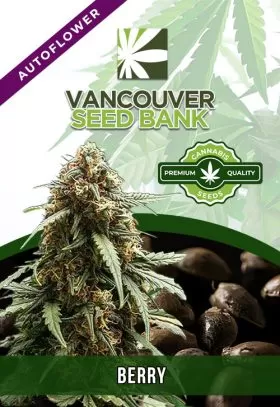 Berry Strain