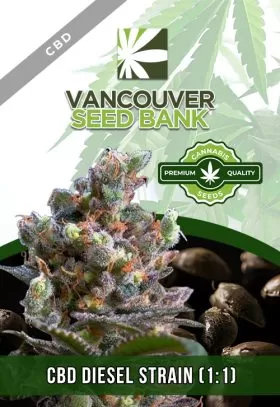 CBD Diesel Strain (1-1)