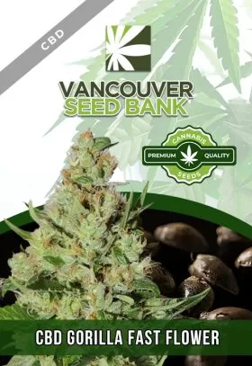 CBD Gorilla Fast Flower