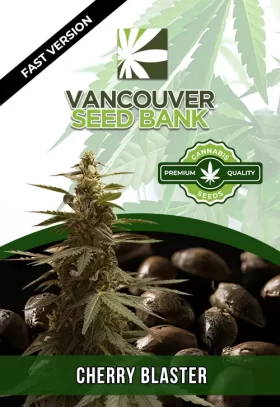 Cherry Blaster Strain Fast Version