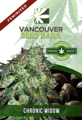 Chronic Widow Strain Feminized