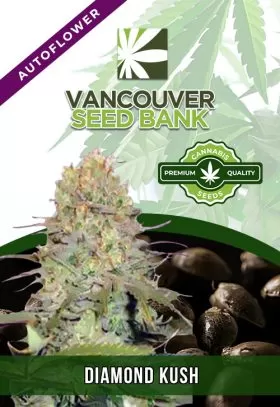 Diamond Kush