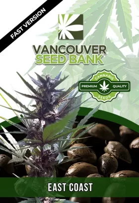 East Coast Alien Strain Fast Version