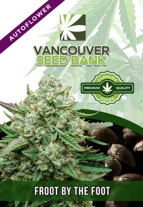 Froot by the Foot Strain