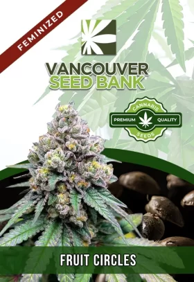 Fruit Circles Strain Feminized