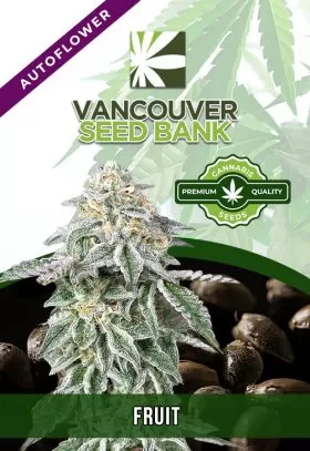 Fruit Strain