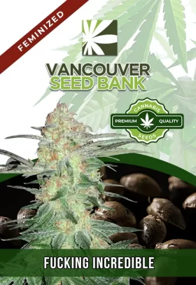 Fucking Incredible Strain Feminized