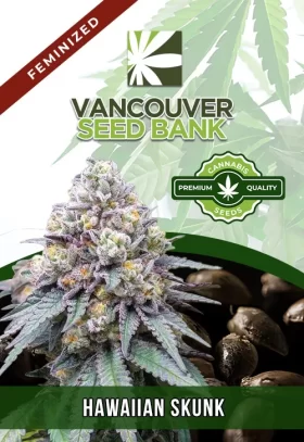 Hawaiian Skunk Strain Feminized