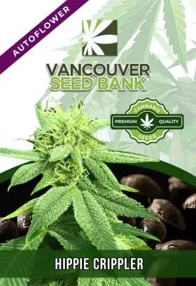 Hippie Crippler Strain