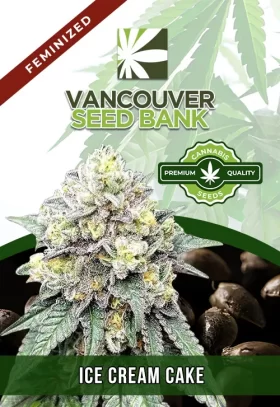 Ice Cream Cake Strain Feminized