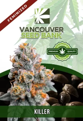 Killer Strain Feminized