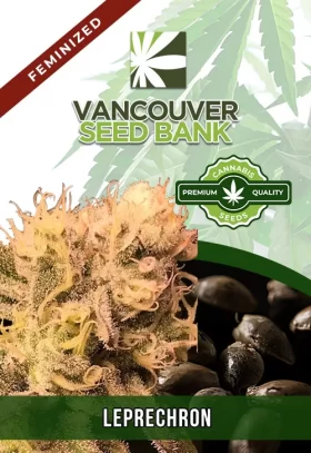 Leprechron Strain Feminized