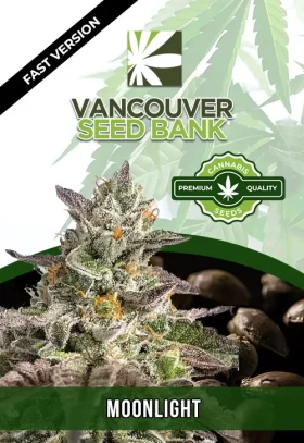 Moonlight Strain Autoflowering Fast Version