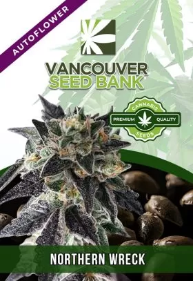 Northern Wreck Strain