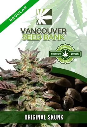 Original Skunk Strain Regular
