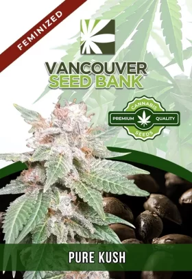 Pure Kush Feminized
