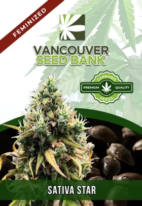 Sativa Star Feminized