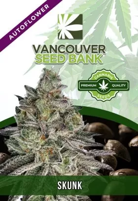 Skunk Strain
