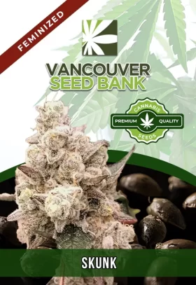 Skunk Strain Feminized