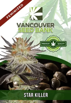 Star Killer Strain Feminized