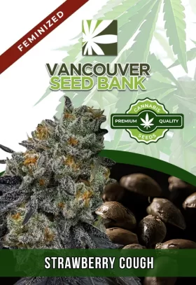Strawberry Cough Feminized