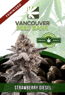 Strawberry Diesel Feminized
