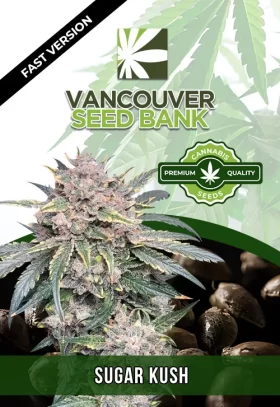 Sugar Kush Fast Version