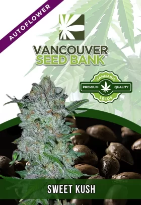 Sweet Kush