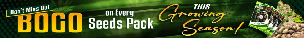 Banner Promo