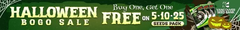 Halloween Sale Single Mobile