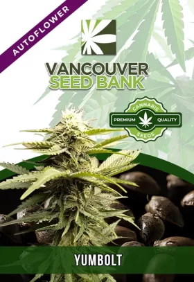 Yumbolt Strain