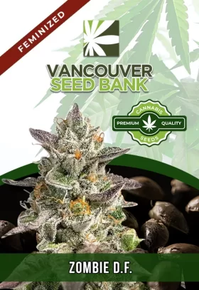Zombie D.F. Strain Feminized