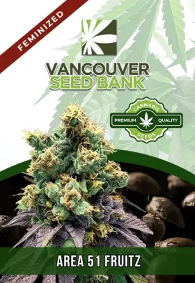 Area 51 Fruitz Strain Feminized