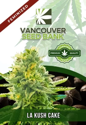 La Kush Cake Feminized