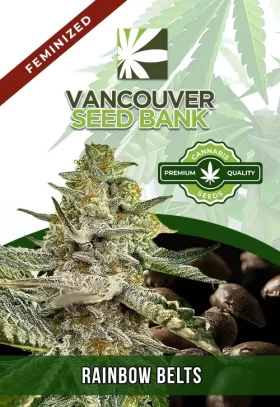 Rainbow Belts Strain Feminized