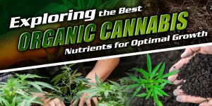 best organic cannabis nutrients