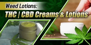 Weed Lotion