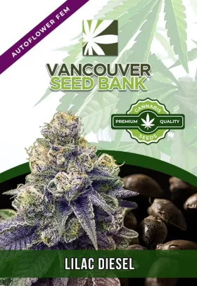 Lilac Diesel Strain