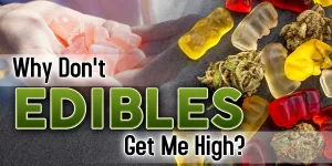 edibles not feeling anything