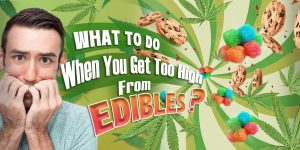 What to Do When You Get Too High from Edibles