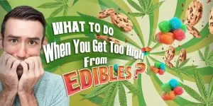 What to Do When You Get Too High from Edibles