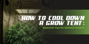 How to Cool Down a Grow Tent: Essential Tips for Optimal Growth
