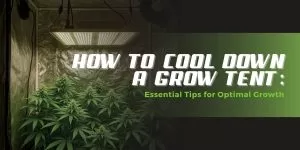 How to Cool Down a Grow Tent: Essential Tips for Optimal Growth